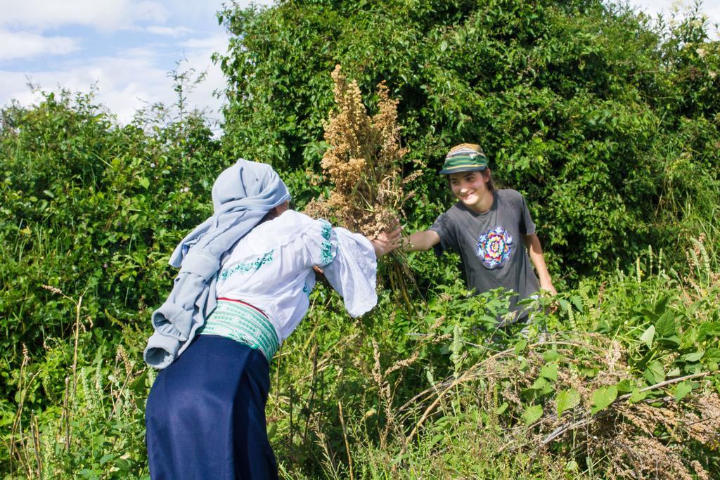 Kallpa Wasi Cotacachi Ngoại thất bức ảnh